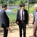 분당태양광발전소 이미지