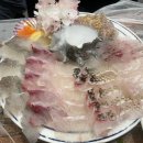 사상횟집 아이싱싱회 내돈내산후기