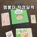 2025년 햄뿡이 탁상달력 캘린더 내돈내산 후기