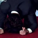 해피그래스 이미지