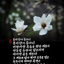 윤주 목필균 시 캘리그라피 두번째 이미지