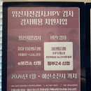 양지산부인과의원 네이버블로그
