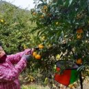 세동농장 이미지