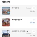 제주 마음샌드 예약 픽업 방법 마음샌드 종류 우유, 한라봉 세가지맛 비교!