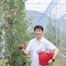 예향농원 - 하동군 전대2길 58 | 예향농원