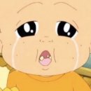 댕댕회관 이미지