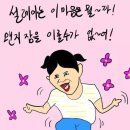 컴페니언 펫 이미지