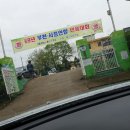 69년도 체육 대회 (대장초) 이미지