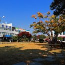 2019년 문예회관과 함께하는 방방곡곡 문화공감 이미지