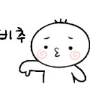 아마폴라뷰티 이미지