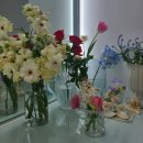 김민헤어샵 - 사하구 | [세운상가점/ 산호맨숀 티켓팅 성공 후 증명사진 랜덤기프트사진 솔직후기]