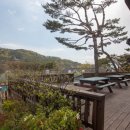 별빛가람 이미지