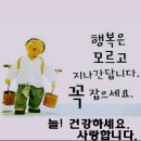 한광 이미지