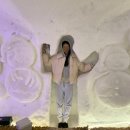 연미2길 | 청룡 터널이 있는 곳, 대관령 눈꽃축제 / 대관령 감자빵 후기