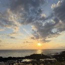 노을담은뜨락 | 제주 여행 (2) / 대정읍 돌고래 보이는 노을담은뜨락펜션, 데미안, 신창풍차해안도로, 연리지가든