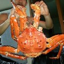 거성수산 이미지