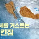 치킨가격 인상 vs 인하. 이미지