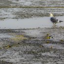 노을진바다 이미지