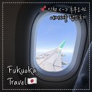 727 | 에어서울 RS727, RS728 후쿠오카 왕복 탑승 후기