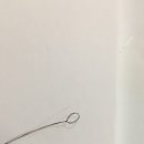 쎄다모 이미지