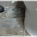 세운약품 | 북가좌동 변기막힘, 평범한 하루를 멈춰 세운 그 순간과 해결까지의 기록