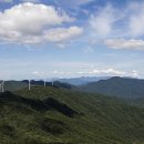 봉평메밀 이미지