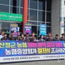 농협 조합장 취임 후 농업법인 이사 취임, '겸직 금지' 위반?﻿ 이미지