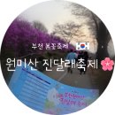 부천종합운동장역(7호선) | 🌸부천 원미산 진달래축제 주차 꿀팁과 실시간 개화 상황 총정리/진달래 포토존