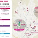 용암1리 케이에스피뉴스