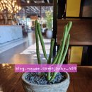 브라이틀링카페&와인라운지