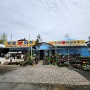 푸른꽃화원 - 춘천시 거두길 209 | 푸른꽃화원