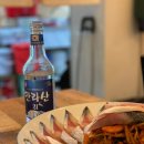 싱싱나라 이미지
