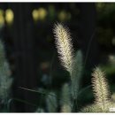 (주)이태 이미지