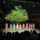 국립현대무용단 <얍 얍 얍> 이미지