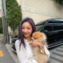스토리헤어아트 이미지