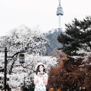 …ⓗ복ノ이미지방/예쁘고 화사한 - 봄 인사말 gif 이미지 이미지