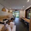 고양이숲 이미지