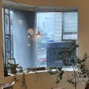 창경궁로 | 종로 혜화 창경궁로 카페 디저트 맛집 일월일일 후기