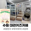 키즈위즈유치원 | 수원무인키즈카페 장안구 대관 키즈카페 무키무키 에서 어린이집 친구들과 파티