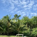 수서그린골프[스크린룸2포함] | 동남아 겨울 골프여행 필리핀 클락 골프장 3박5일 비용 패키지