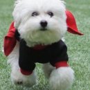 서하남로451번길 이미지