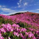 오룡역 7번출구 이미지