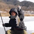 낚시 - 강릉시 율곡로 2932 | 낚시