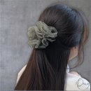 다원 이미지