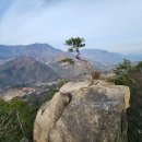 단양-단양-01 이미지