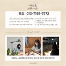 창신초등학교병설유치원 | [샌드아트 체험] 부산 창신초 병설유치원 특별한 샌드아트 체험 이야기 !