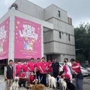동물치유쉼터 | 내품애센터 봉사 후기 (with 포포넛팀)