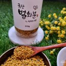 골다공증 빈혈 다이어트 식단 빈혈에 좋은 음식 국산 벌화분 후기
