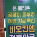 삼층고양이 이미지
