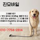 박일등사업자직권등록 | KT 통신연체 해결방법 확인하고 직권해지 전 정지 당일 해제한 후기